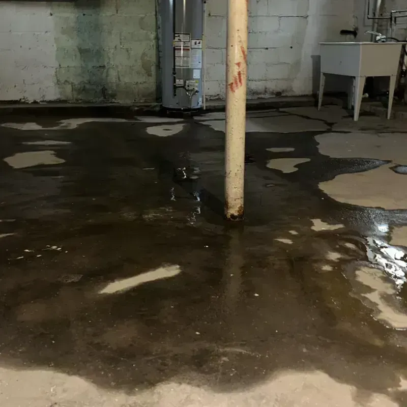 Emergency Water Extraction And Removal in Guildhall, VT